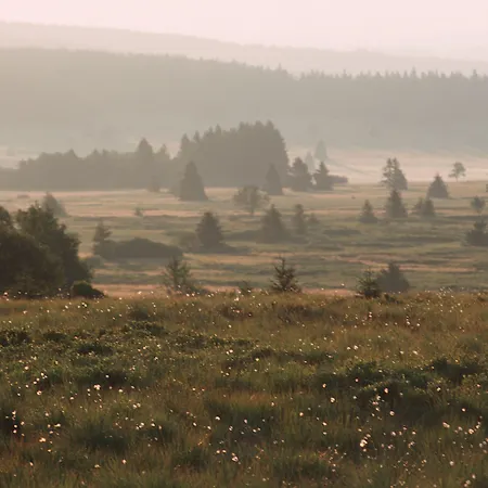 Restaurant Tychon Ag Hotell 3*