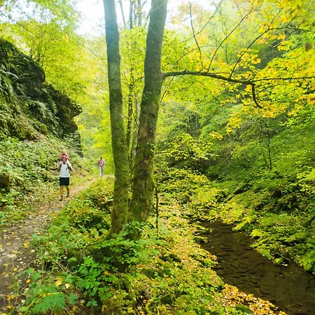 Restaurant Tychon Ag 3* Eynatten