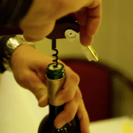 Restaurant Tychon Ag Hotell 3*