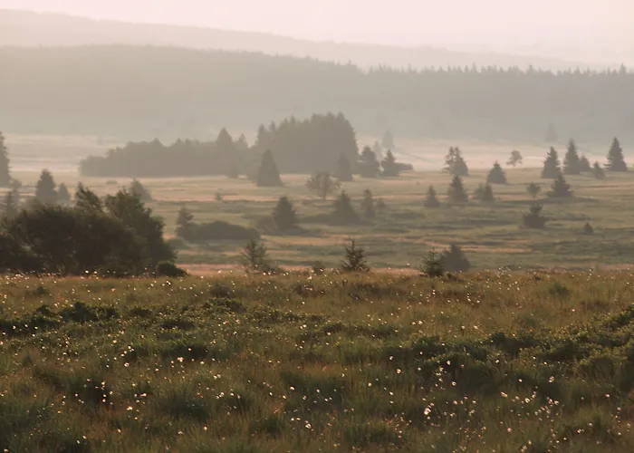 Restaurant Tychon Ag Hotel 3*