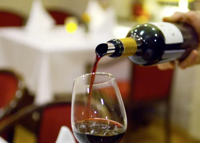 Hotel Restaurant Tychon Ag 3*